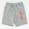 Puma Gray Shorts