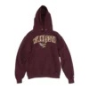Champion Burgundy Solid Minnesota Golden Gophers Hoodie Pullover